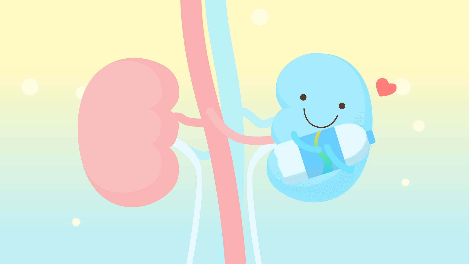 How Important Is Drinking Water? Your First Step to Avoid Kidney Stones