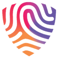 BigID Privacy & Data Governance favicon