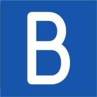BlueSnap favicon