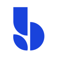 BlueVine favicon