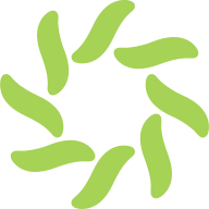 Lingoport Globalization Manager favicon