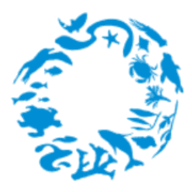 Ocean Conservancy Digital Tools favicon