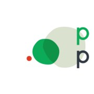 PrivacyPerfect favicon