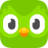Duolingo for Schools favicon