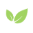 Sprout Pregnancy App favicon