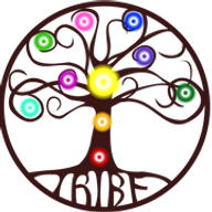 Tribe Wellness favicon