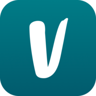 Vinted favicon