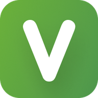 Vsee favicon