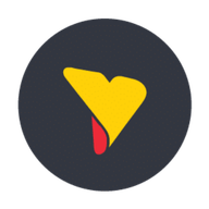 Yellowfin BI favicon